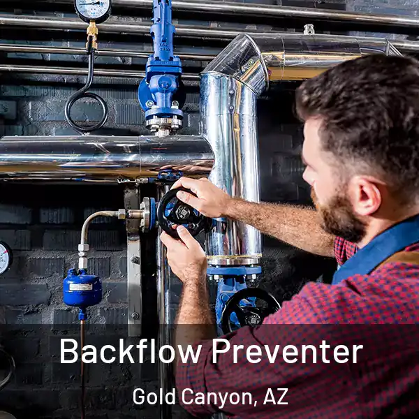  Backflow Preventer Gold Canyon, AZ