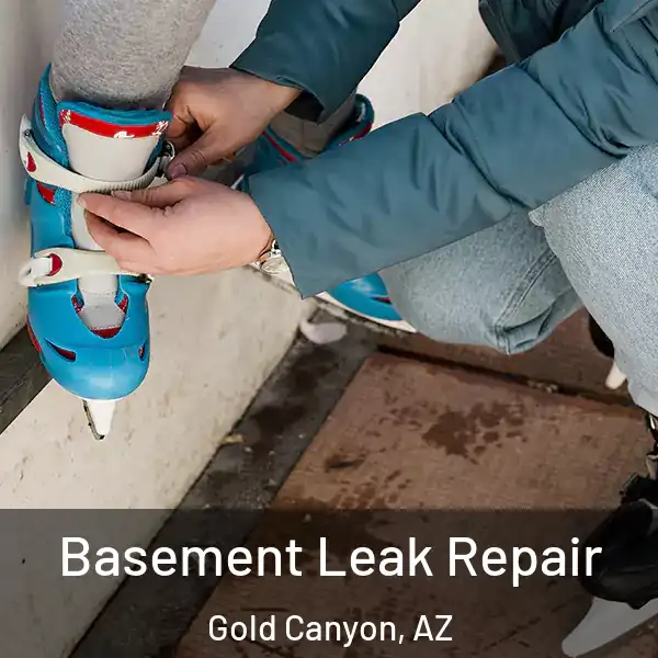  Basement Leak Repair Gold Canyon, AZ