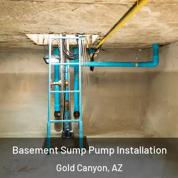  Basement Sump Pump Installation Gold Canyon, AZ