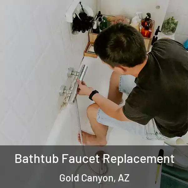  Bathtub Faucet Replacement Gold Canyon, AZ