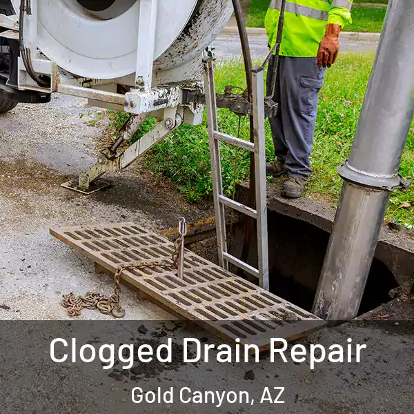  Clogged Drain Repair Gold Canyon, AZ