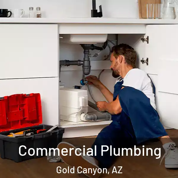  Commercial Plumbing Gold Canyon, AZ