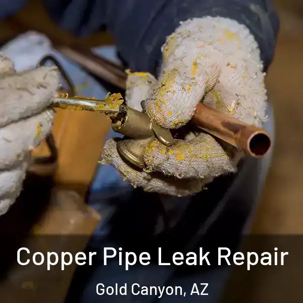  Copper Pipe Leak Repair Gold Canyon, AZ
