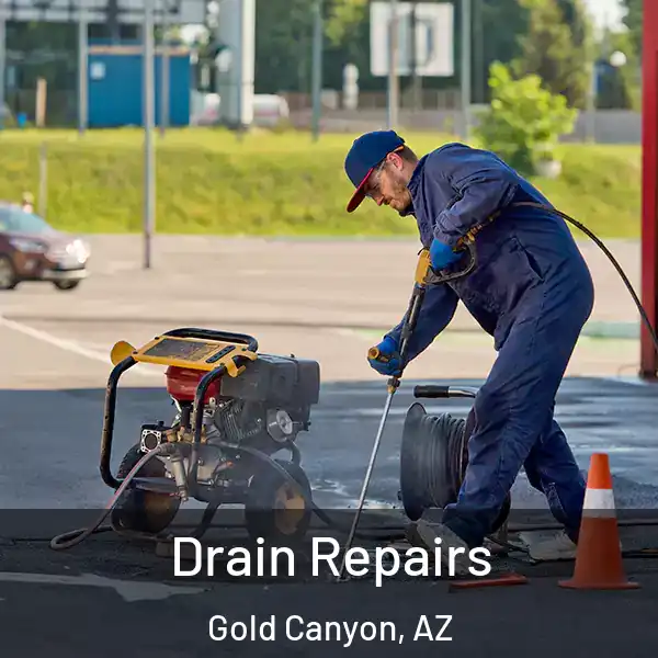  Drain Repairs Gold Canyon, AZ