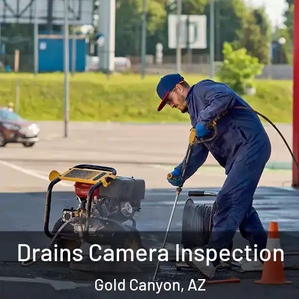  Drains Camera Inspection Gold Canyon, AZ