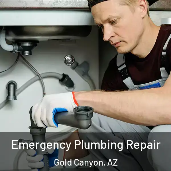  Emergency Plumbing Repair Gold Canyon, AZ
