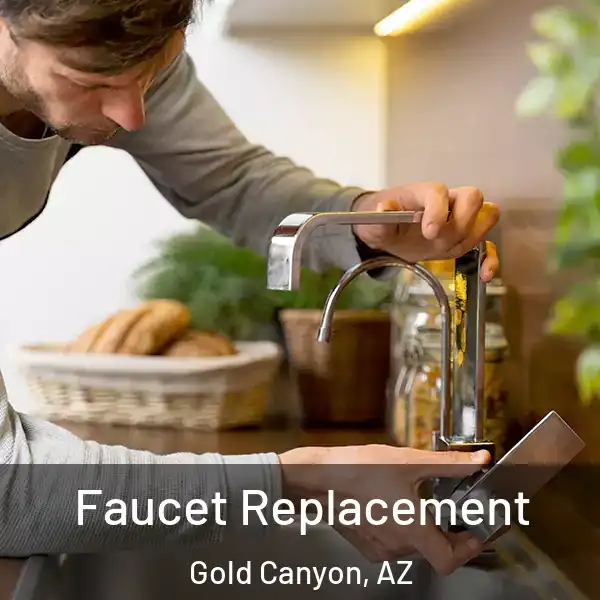  Faucet Replacement Gold Canyon, AZ