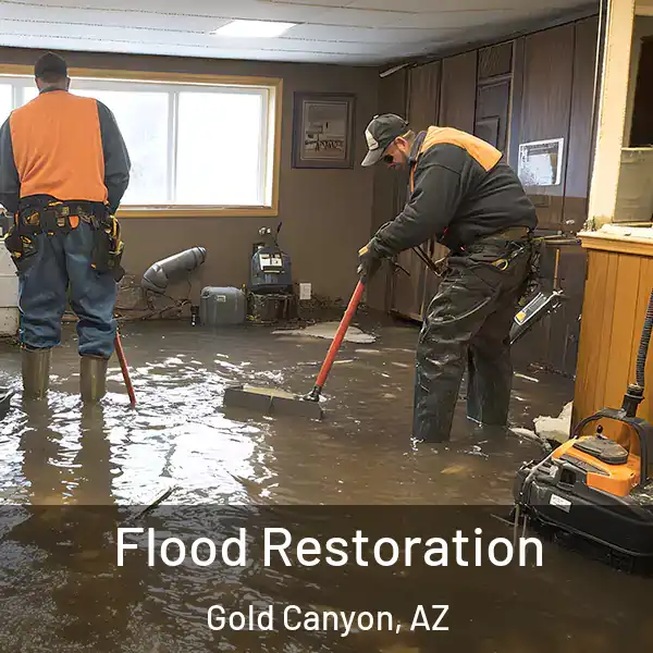  Flood Restoration Gold Canyon, AZ