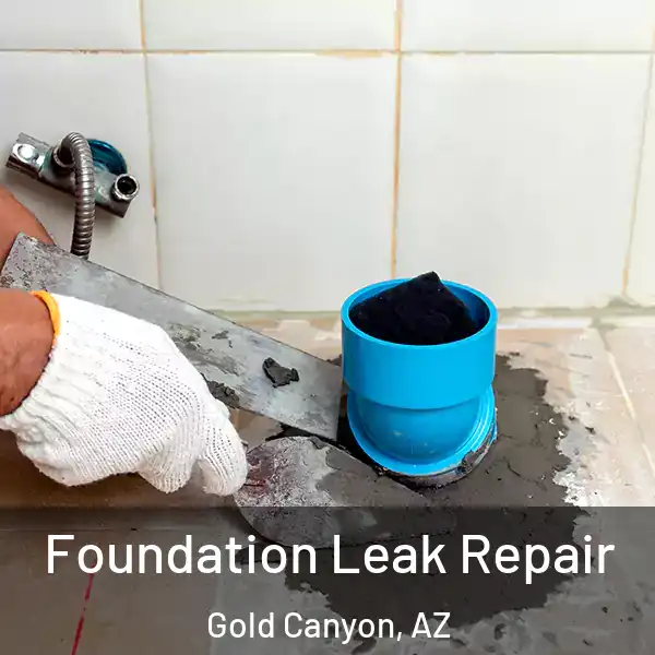  Foundation Leak Repair Gold Canyon, AZ