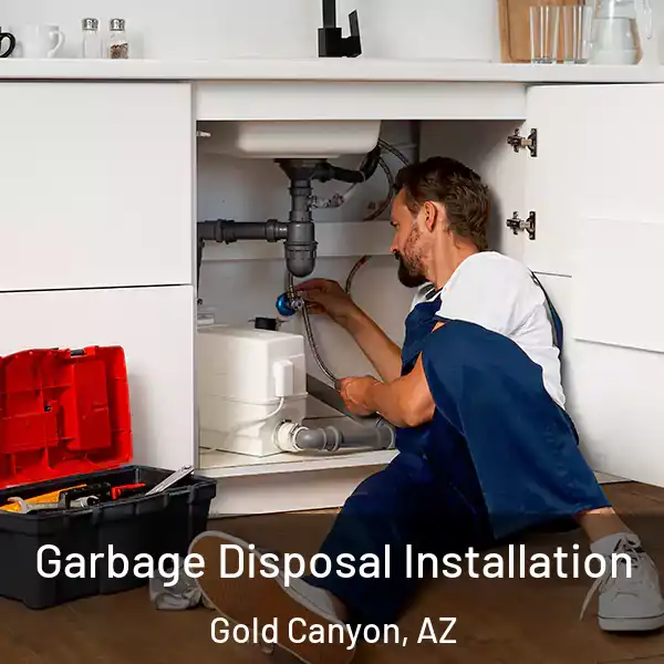  Garbage Disposal Installation Gold Canyon, AZ