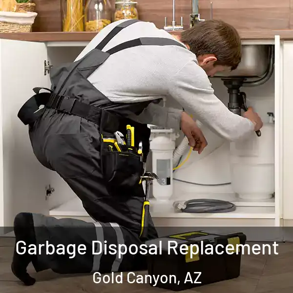  Garbage Disposal Replacement Gold Canyon, AZ