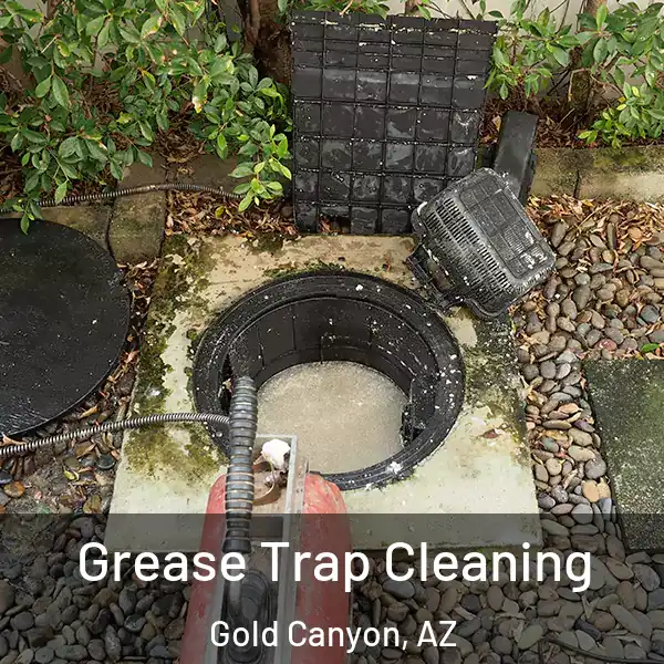  Grease Trap Cleaning Gold Canyon, AZ