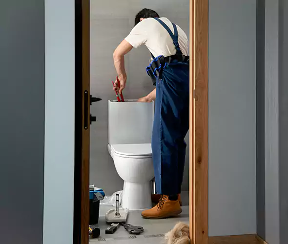 Professional Plumbers for Toilet Bowl Replacement in Gold Canyon, AZ: Schedule Affordable Toilet Replacement Services With Us