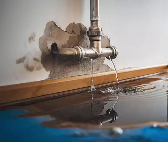 Professional Water Damage Restoration Experts in Gold Canyon, AZ — Fast, Reliable & Certified