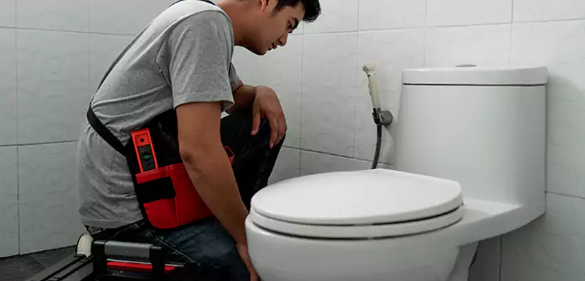 Toilet Repair in Gold Canyon