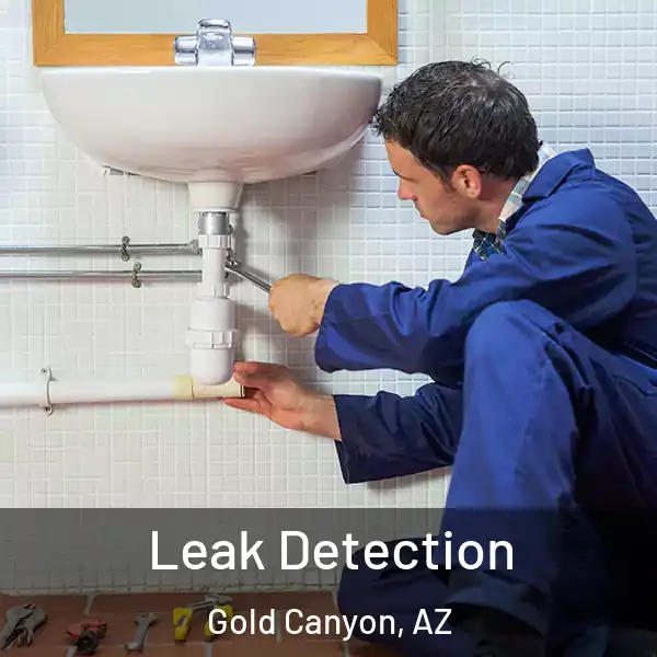  Leak Detection Gold Canyon, AZ