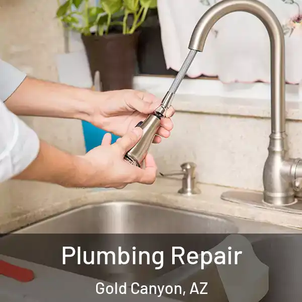  Plumbing Repair Gold Canyon, AZ