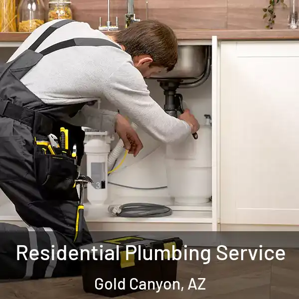  Residential Plumbing Service Gold Canyon, AZ