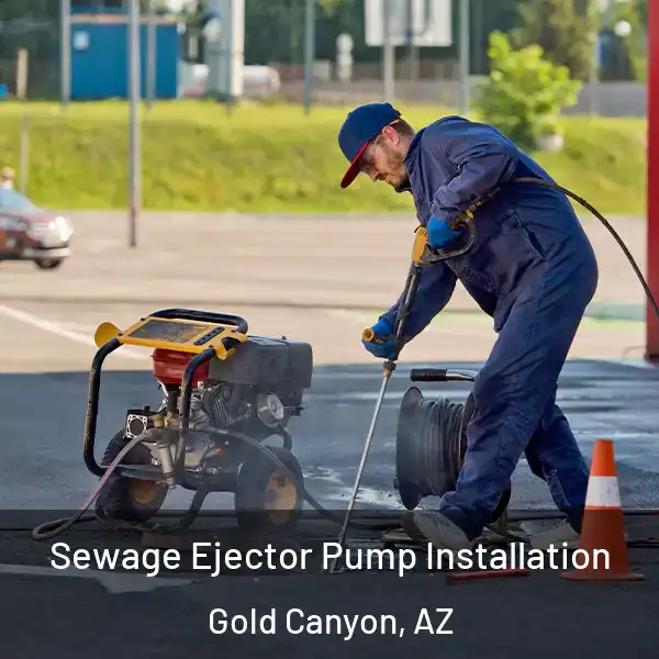  Sewage Ejector Pump Installation Gold Canyon, AZ