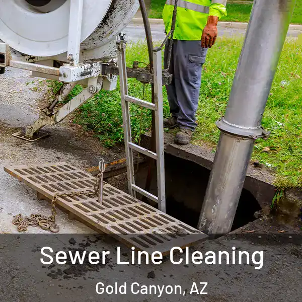  Sewer Line Cleaning Gold Canyon, AZ