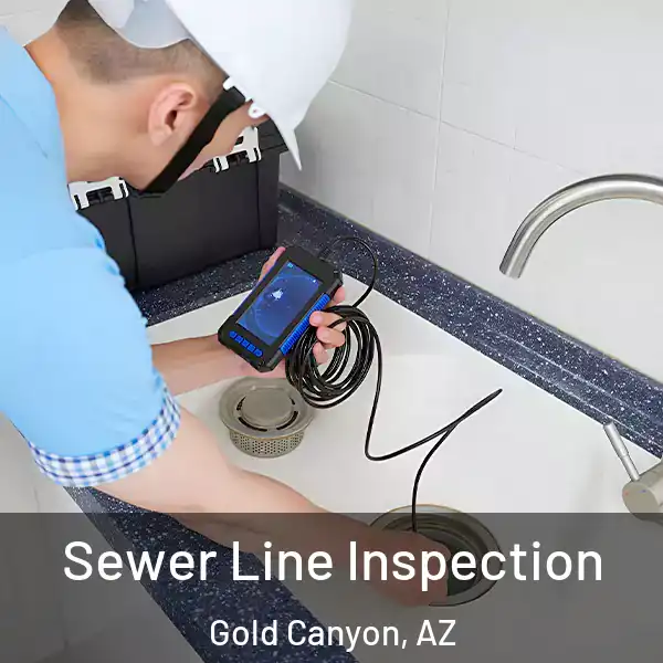  Sewer Line Inspection Gold Canyon, AZ