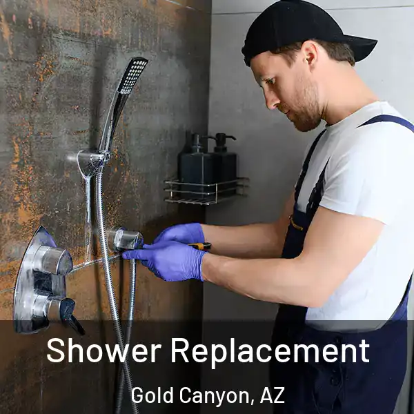  Shower Replacement Gold Canyon, AZ