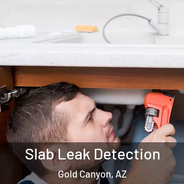  Slab Leak Detection Gold Canyon, AZ
