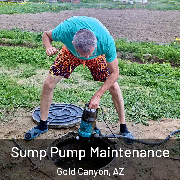  Sump Pump Maintenance Gold Canyon, AZ