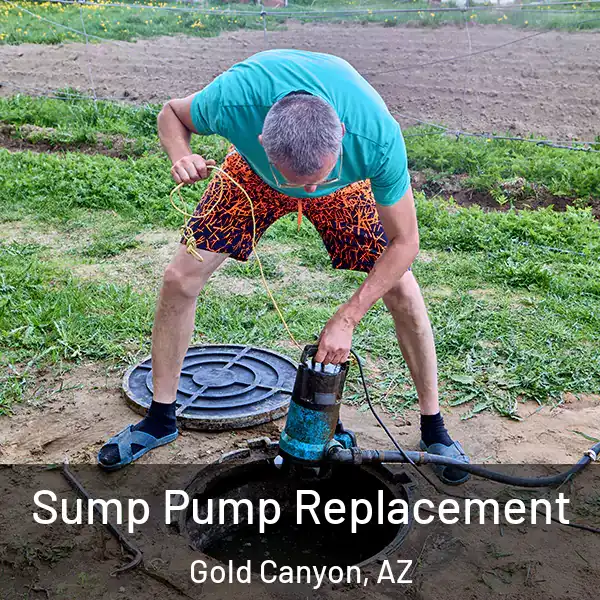  Sump Pump Replacement Gold Canyon, AZ