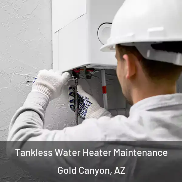  Tankless Water Heater Maintenance Gold Canyon, AZ