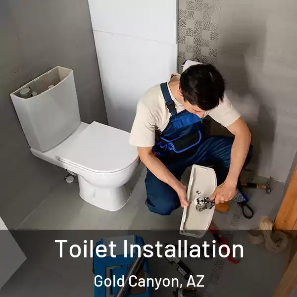  Toilet Installation Gold Canyon, AZ