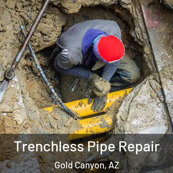  Trenchless Pipe Repair Gold Canyon, AZ