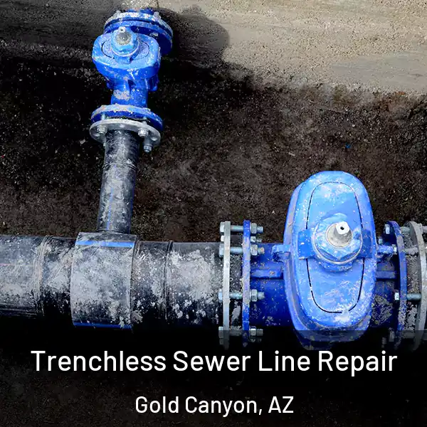  Trenchless Sewer Line Repair Gold Canyon, AZ