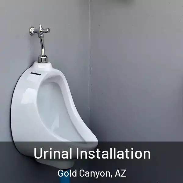  Urinal Installation Gold Canyon, AZ