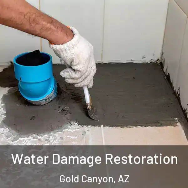  Water Damage Restoration Gold Canyon, AZ