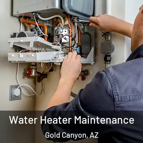 Water Heater Maintenance Gold Canyon, AZ