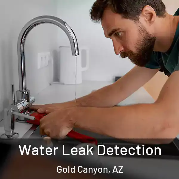  Water Leak Detection Gold Canyon, AZ