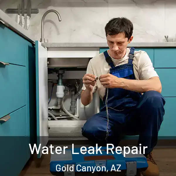  Water Leak Repair Gold Canyon, AZ
