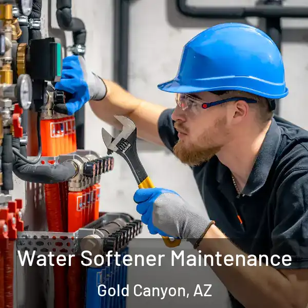  Water Softener Maintenance Gold Canyon, AZ