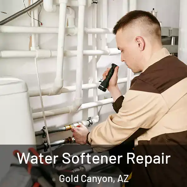  Water Softener Repair Gold Canyon, AZ