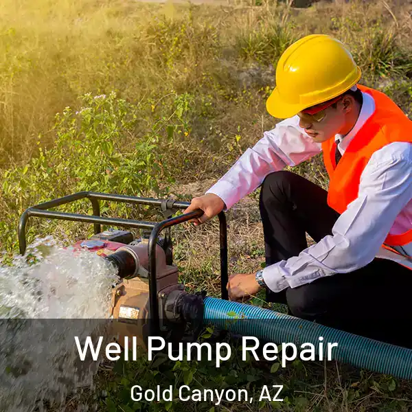  Well Pump Repair Gold Canyon, AZ