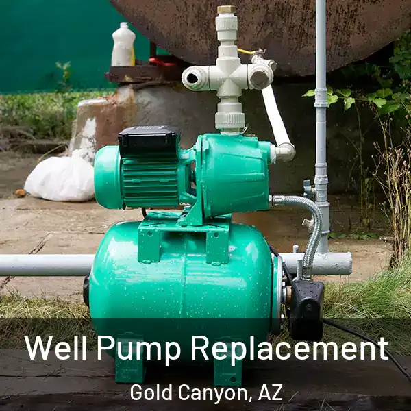  Well Pump Replacement Gold Canyon, AZ